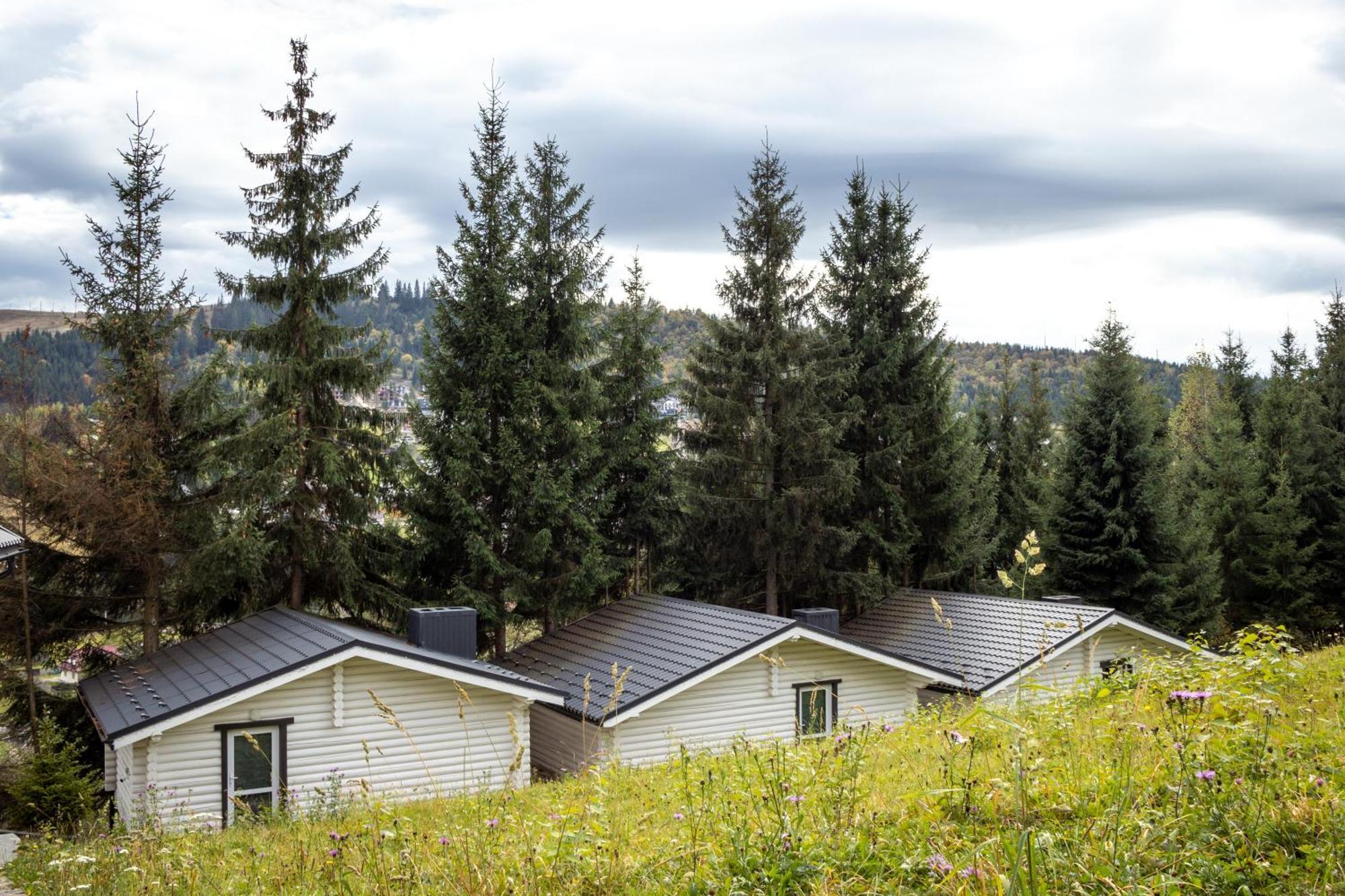 Olexandr&matvii * Bukovel